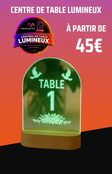 CENTRE DE TABLE LUMINEUX bis AP