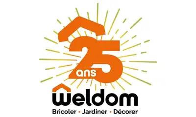 Accueil 220 weldom